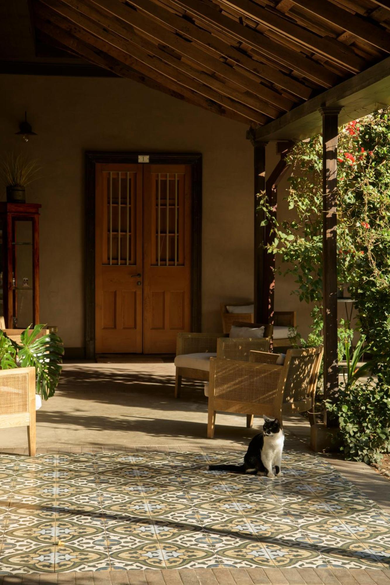 Solar Madariaga Hotel Vicuña エクステリア 写真